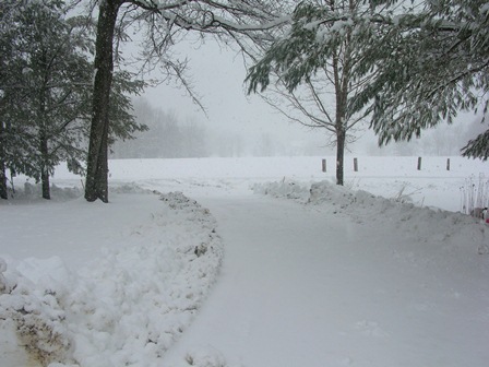 view down the driveway